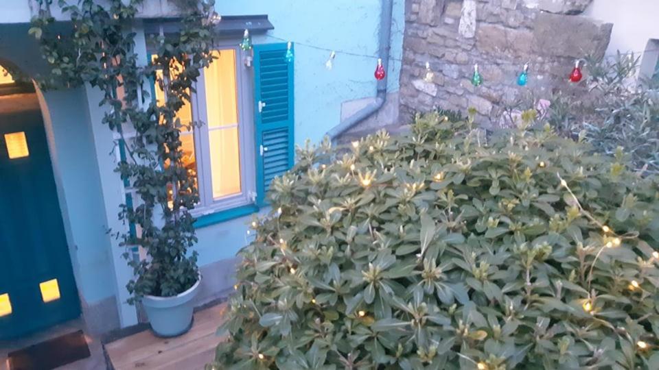 شقة Little Garden بيران المظهر الخارجي الصورة